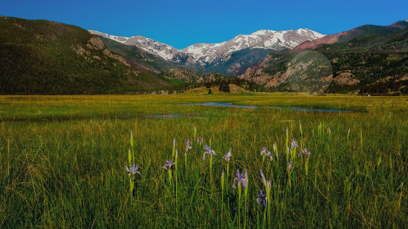 Selling Colorado Land With Back Taxes Colorado land guide