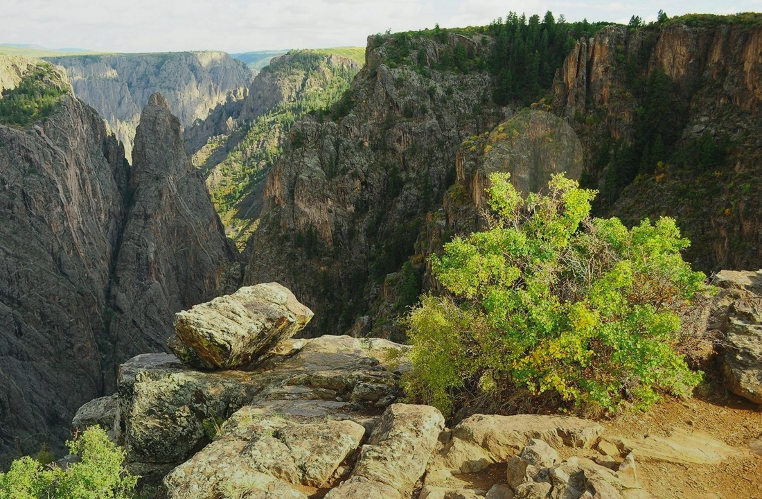 Colorado land sale options and buyer review for Selling Mountain Acreage in Colorado