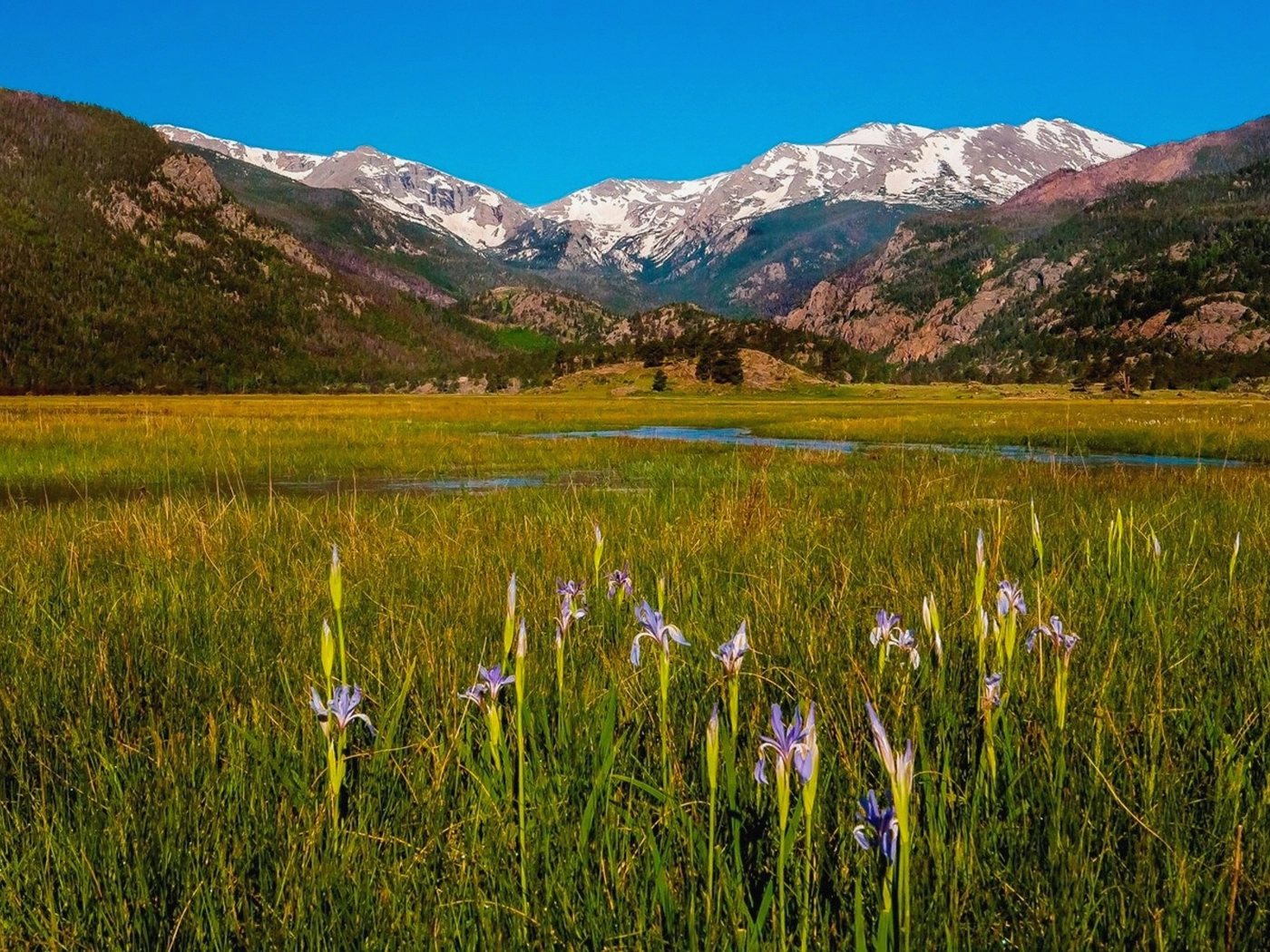 Mountain Acreage in Chaffee County